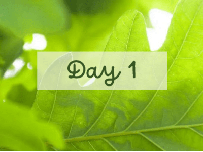 31 Days of Family History Challenge – Day&nbsp;1