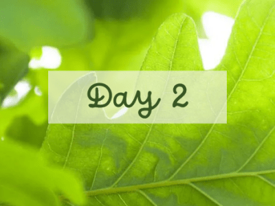 31 Days of Family History Challenge – Day&nbsp;2