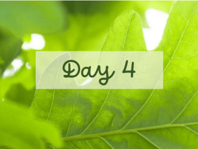 31 Days of Family History Challenge – Day&nbsp;4