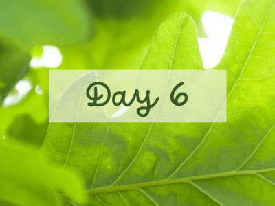31 Days of Family History Challenge – Day&nbsp;6