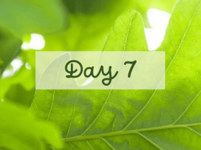 31 Days of Family History Challenge – Day&nbsp;7