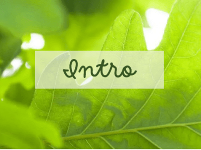 31 Days of Family History Challenge –&nbsp;Intro